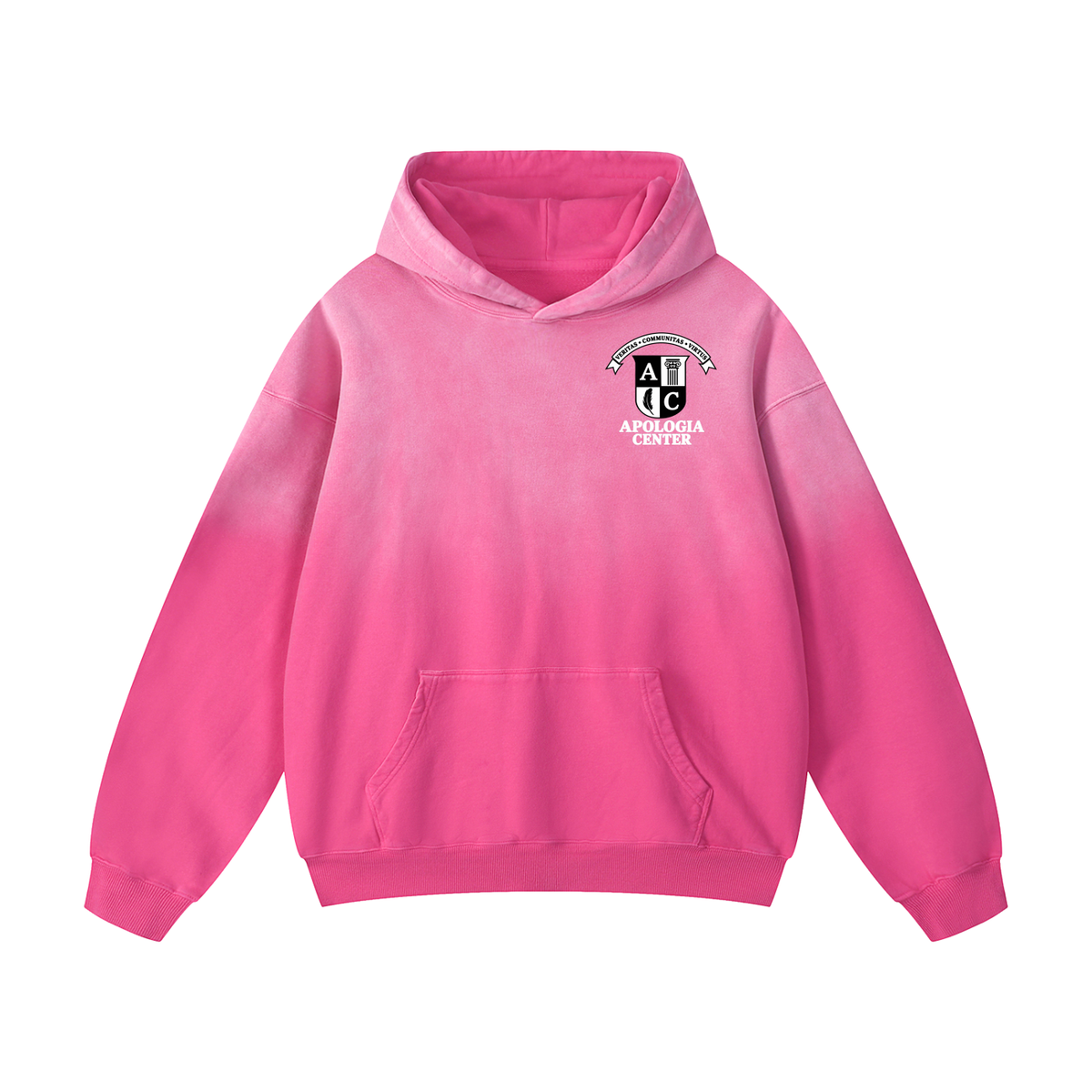 The ART of Apologia Hoodie