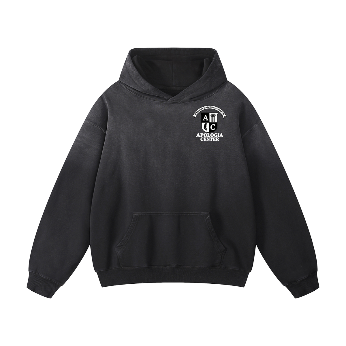 The ART of Apologia Hoodie