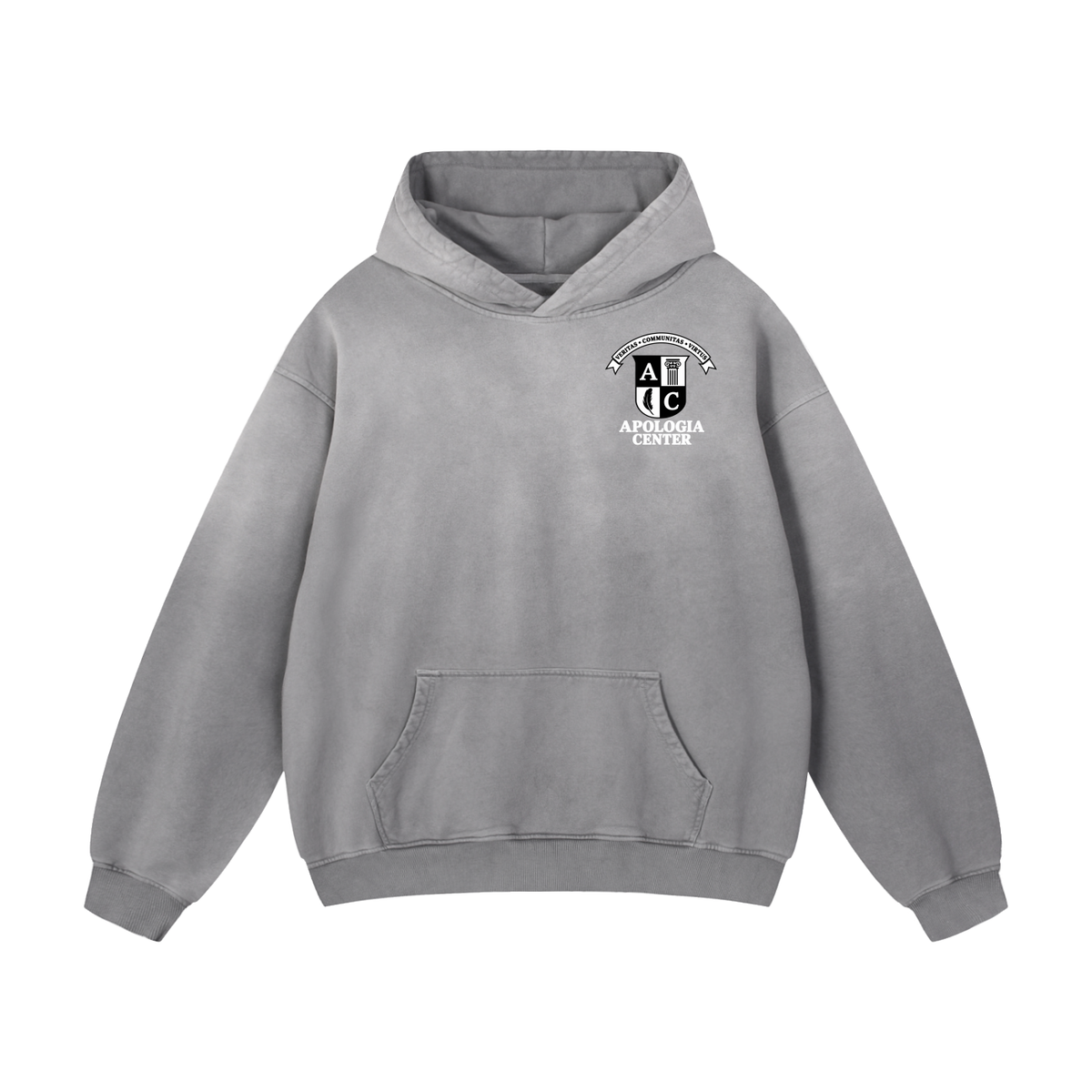 The ART of Apologia Hoodie